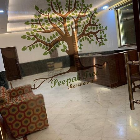 Peepal Tree Residency Bed & Breakfast Yeni Delhi Dış mekan fotoğraf