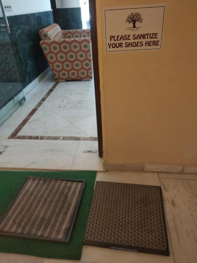 Peepal Tree Residency Bed & Breakfast Yeni Delhi Dış mekan fotoğraf