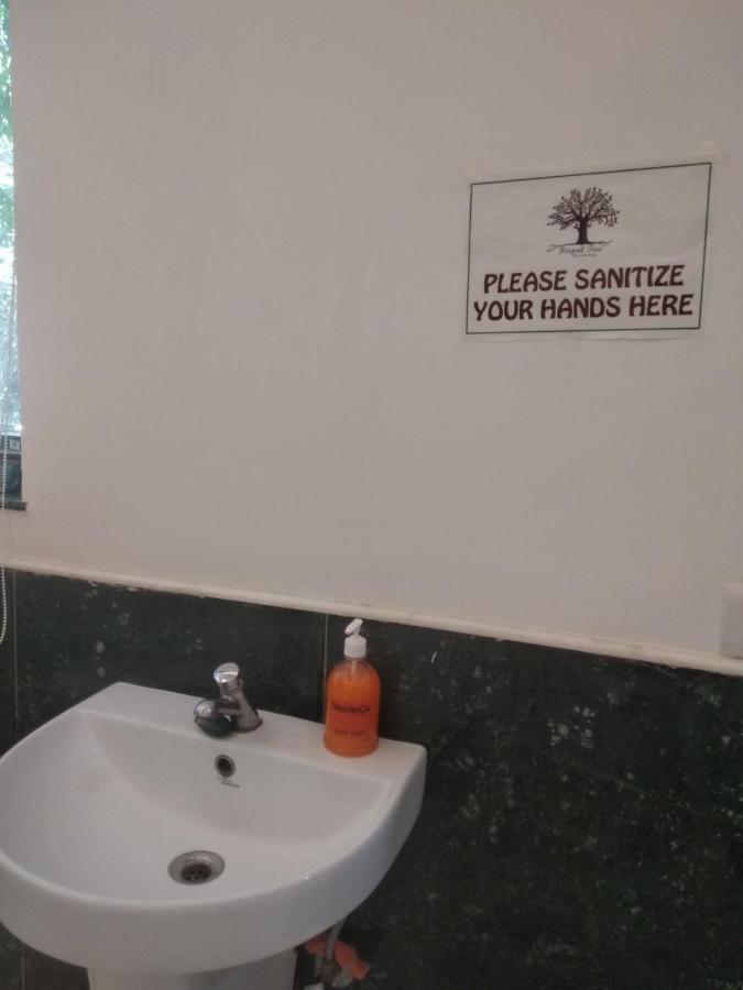 Peepal Tree Residency Bed & Breakfast Yeni Delhi Dış mekan fotoğraf