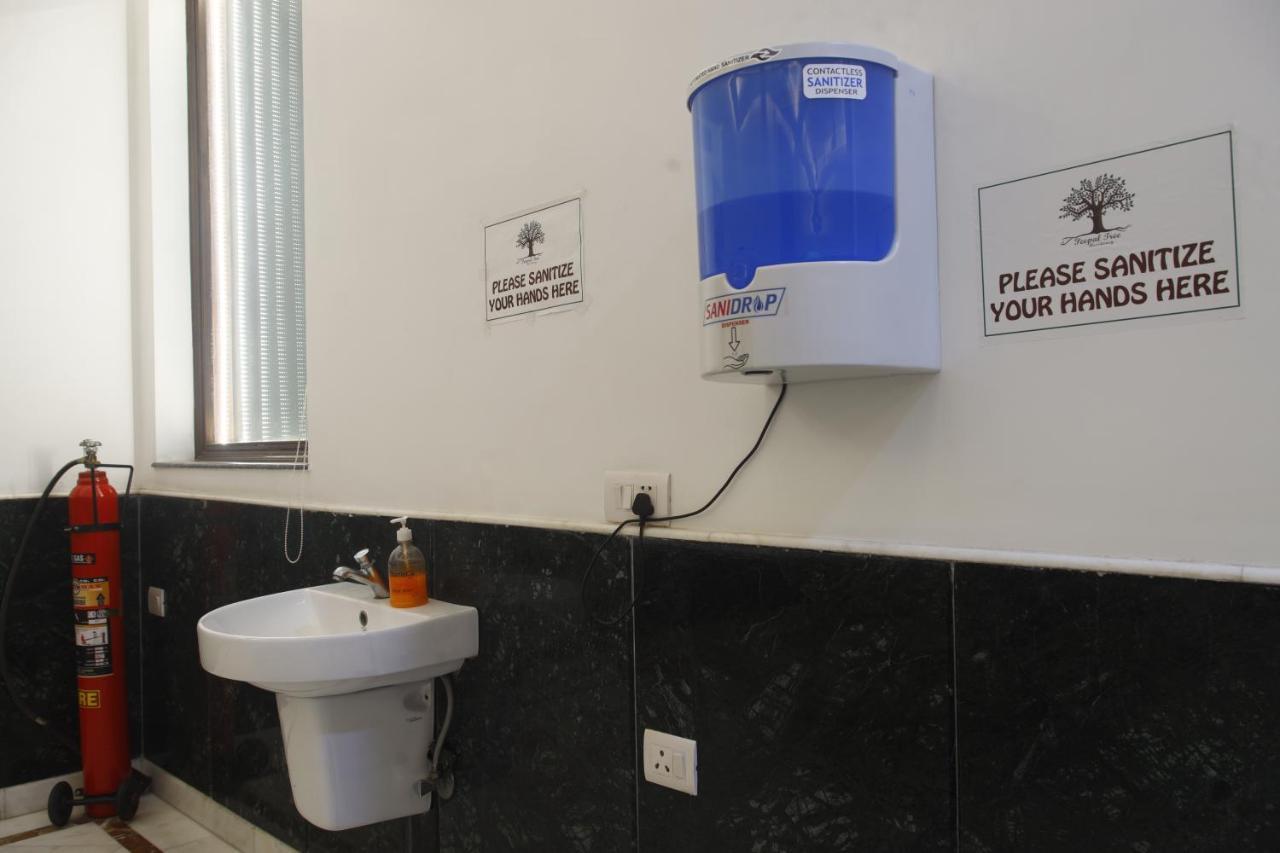 Peepal Tree Residency Bed & Breakfast Yeni Delhi Dış mekan fotoğraf