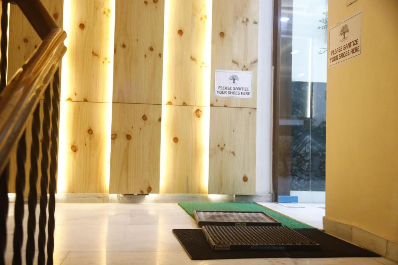 Peepal Tree Residency Bed & Breakfast Yeni Delhi Dış mekan fotoğraf