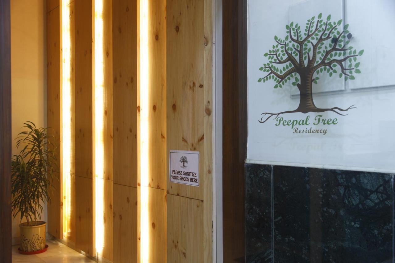 Peepal Tree Residency Bed & Breakfast Yeni Delhi Dış mekan fotoğraf