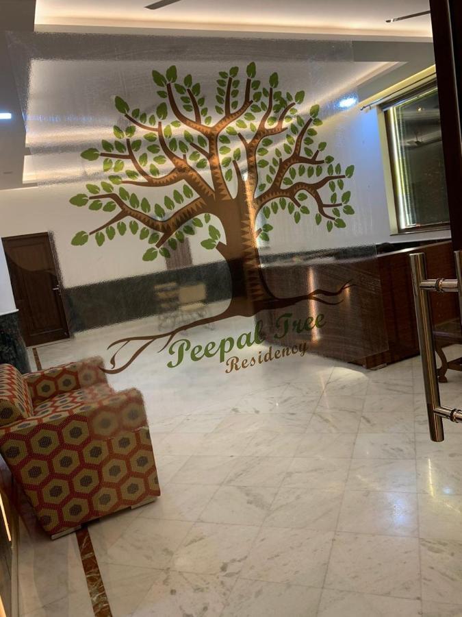 Peepal Tree Residency Bed & Breakfast Yeni Delhi Dış mekan fotoğraf